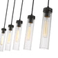 Z-Lite Beau 42" 5-Light Matte Black Steel Clear Glass Shade Linear Chandelier