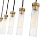 Z-Lite Beau 42" 5-Light Rubbed Brass Steel Clear Glass Shade Linear Chandelier