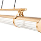 Z-Lite Benoit 44" 1-Light LED-Integrated Modern Gold Steel Frame Clear Glass Shade Linear Chandelier