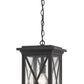 Z-Lite Brookside 10" 1-Light Black Aluminum Outdoor Chain Mount Ceiling Fixture With Clear Seedy Glass Shade