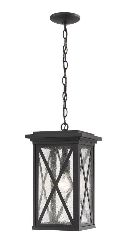Z-Lite Brookside 10" 1-Light Black Aluminum Outdoor Chain Mount Ceiling Fixture With Clear Seedy Glass Shade
