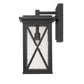 Z-Lite Brookside 10" 1-Light Black Aluminum Outdoor Wall Sconce With Clear Seedy Glass Shade