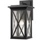 Z-Lite Brookside 10" 1-Light Black Aluminum Outdoor Wall Sconce With Clear Seedy Glass Shade