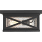 Z-Lite Brookside 12" 2-Light Black Aluminum Outdoor Flush Mount With Clear Seedy Glass Shade