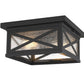 Z-Lite Brookside 12" 2-Light Black Aluminum Outdoor Flush Mount With Clear Seedy Glass Shade