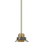 Z-Lite Burren 9" 1-Light Bronze and Brass Mini Pendant Light With Clear Seedy Glass Shade