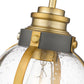 Z-Lite Burren 9" 1-Light Bronze and Brass Mini Pendant Light With Clear Seedy Glass Shade