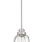 Z-Lite Burren 9" 1-Light Brushed Nickel Mini Pendant Light With Clear Seedy Glass Shade