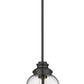 Z-Lite Burren 9" 1-Light Matte Black Mini Pendant Light With Clear Seedy Glass Shade