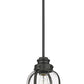 Z-Lite Burren 9" 1-Light Matte Black Mini Pendant Light With Clear Seedy Glass Shade