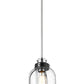 Z-Lite Burren 9" 1-Light Matte Black and Chrome Mini Pendant Light With Clear Seedy Glass Shade