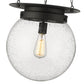 Z-Lite Calhoun 13" 1-Light Matte Black and Clear Seedy Glass Shade Pendant Light