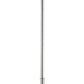 Z-Lite Calliope 5" 1-Light Polished Nickel Mini Pendant Light With Clear Glass Shade