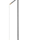 Z-Lite Calumet 49" Matte Black and Olde Brass Aluminum Floor Lamp