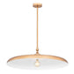 Z-Lite Camden 32" 1-Light Rubbed Brass Steel Pendant Light