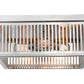 Z-Lite Camellia 15" 3-Light Brushed Nickel Steel Flush Mount Lighting