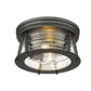 Z-Lite Cape Harbor 12" 2-Light Bronze Flush Mount Lighting With Clear Glass Shade