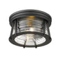 Z-Lite Cape Harbor 12" 2-Light Matte Black Flush Mount Lighting With Clear Glass Shade