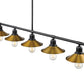Z-Lite Casa 8" 5-Light Matte Black Island Light With Factory Brass Steel Shade