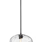 Z-Lite Chloe 1-Light Matte Black Steel Clear Glass Shade Pendant Light