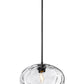 Z-Lite Chloe 1-Light Matte Black Steel Clear Glass Shade Pendant Light