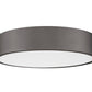 Z-Lite Coronado 20" 1-Light LED-Integrated Bronze Steel Frosted Plastic Shade Flush Mount Lighting