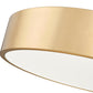 Z-Lite Coronado 20" 1-Light LED-Integrated Modern Gold Steel Frosted Plastic Shade Flush Mount Lighting