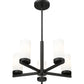 Z-Lite Danica 20" 5-Light Matte Black Steel Chandelier With White Glass Shade