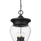 Z-Lite Davina 12" W x 24" H 4-Light Black Aluminum Outdoor Chain Mount Ceiling Fixture With Clear Ribbed Glass Shade