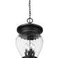 Z-Lite Davina 12" W x 24" H 4-Light Black Aluminum Outdoor Chain Mount Ceiling Fixture With Clear Ribbed Glass Shade