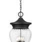 Z-Lite Davina 12" W x 24" H 4-Light Black Aluminum Outdoor Chain Mount Ceiling Fixture With Clear Ribbed Glass Shade