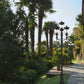 Z-Lite Davina 35" W x 131" H 16-Light Black Aluminum Outdoor Post Mounted Fixture With Clear Ribbed Glass Shade