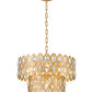 Z-Lite Dealey 16" 5-Light Heirloom Brass Pendant Light With Steel and Crystal Shade