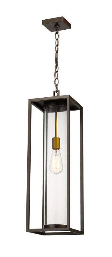 Z-Lite Dunbroch 8" 1-Light Deep Bronze and Outdoor Brass Aluminum Outdoor Chain Mount Ceiling Fixture With Clear Glass Shade