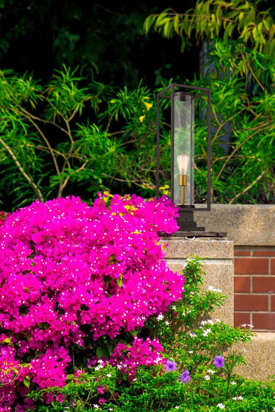 Z-Lite Dunbroch 8" W x 29" H 1-Light Deep Bronze and Outdoor Brass Outdoor Pier Mounted Fixture and Square Pier Mount Hardware With Clear Glass Shade