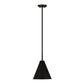 Z-Lite Eaton 12" 1-Light Matte Black Iron Pendant Light