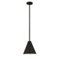 Z-Lite Eaton 12" 1-Light Matte Black Iron Pendant Light