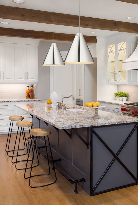 Z-Lite Eaton 24" 1-Light Polished Nickel Iron Pendant Light