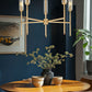 Z-Lite Esme 32" 5-Light Modern Gold Steel Frame Clear Glass Shade Chandelier