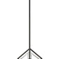 Z-Lite Euclid 12" 1-Light Chrome and Matte Black Steel Mini Pendant Light