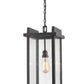 Z-Lite Fallow 10" 1-Light Black Aluminum Outdoor Chain Mount Ceiling Fixture With Clear Seedy Glass Shade