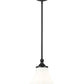 Z-Lite Fleur 1-Light Matte Black Steel Frame Opal Etched Glass Shade Pendant Light