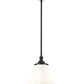 Z-Lite Fleur 1-Light Matte Black Steel Frame Opal Etched Glass Shade Pendant Light