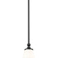 Z-Lite Fleur 8" 1-Light Matte Black Steel Frame Opal Etched Glass Shade Pendant Light