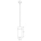 Z-Lite Fontaine 6" 1-Light Brushed Nickel Pendant Light With Clear Glass Shade