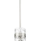 Z-Lite Fontaine 7002P5-ROD-BN 1-Light Brushed Nickel Frame Clear Waterglass Glass Shade Pendant Light