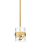 Z-Lite Fontaine 7002P5-ROD-RB 1-Light Rubbed Brass Frame Clear Waterglass Glass Shade Pendant Light