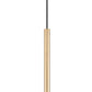 Z-Lite Forest 5" W x 24" H 1-Light LED Modern Gold Steel Pendant Light