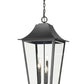 Z-Lite Gannon 16" 5-Light Black Stainless Steel Outdoor Chain Mount Ceiling Fixture With Clear Beveled Glass Shade