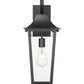 Z-Lite Gannon 8" 1-Light Black Stainless Steel Outdoor Wall Light With Clear Beveled Glass Shade